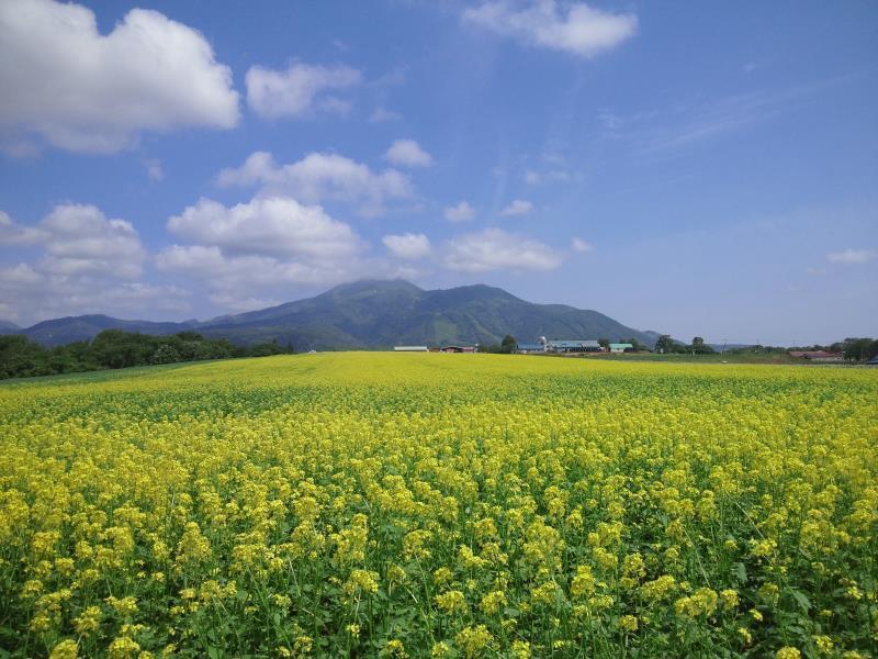 Хостел Karimpani Niseko Fujiyama Экстерьер фото